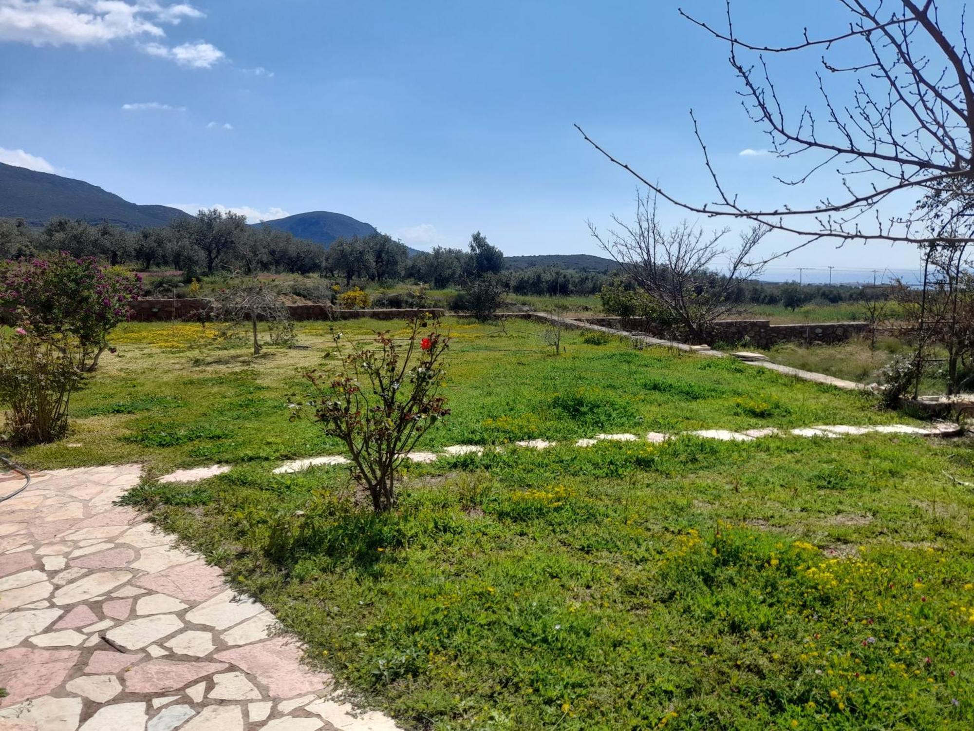 “Villa Othon-Leni” Paralia Demonias Zewnętrze zdjęcie