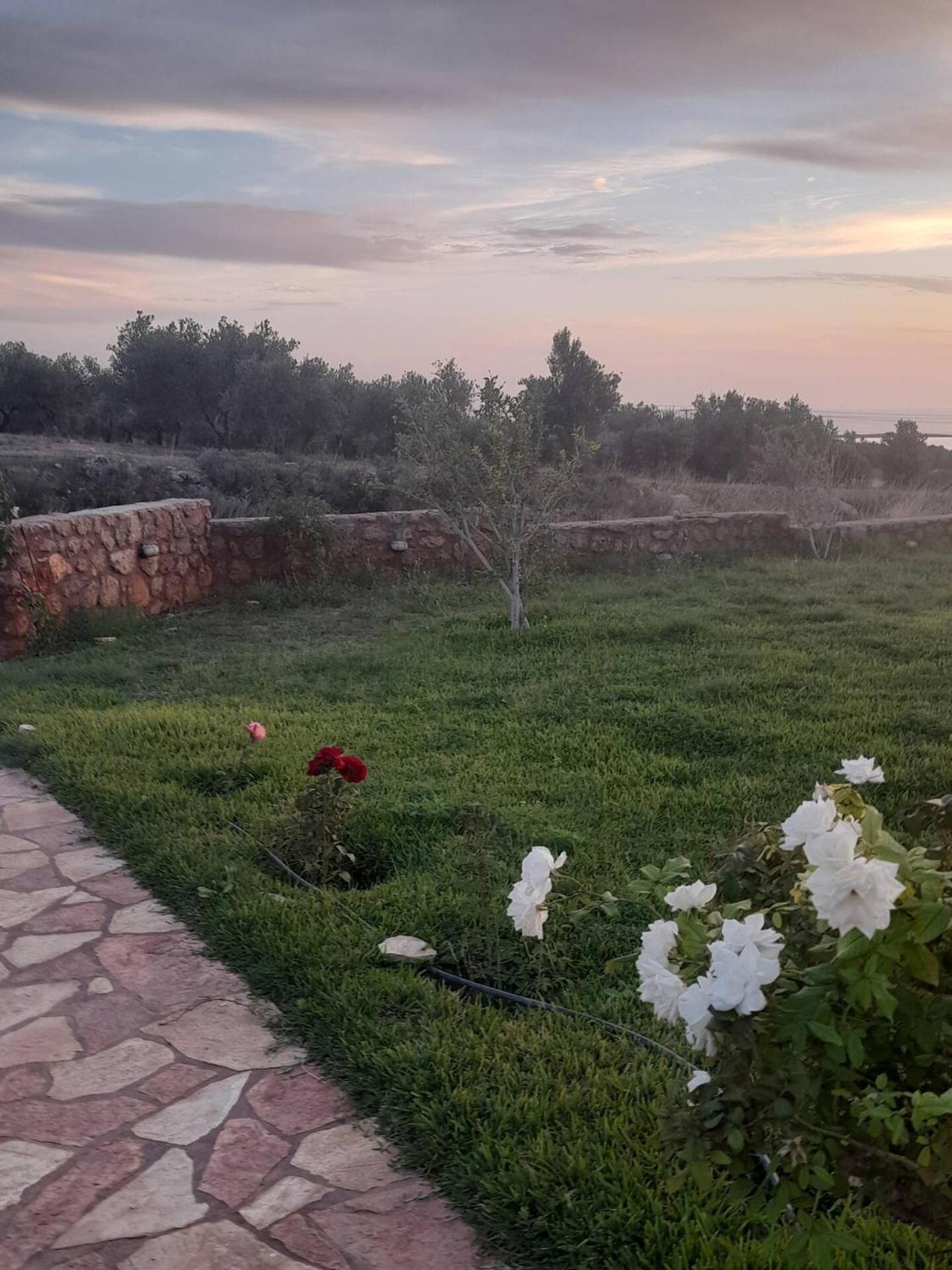 “Villa Othon-Leni” Paralia Demonias Zewnętrze zdjęcie